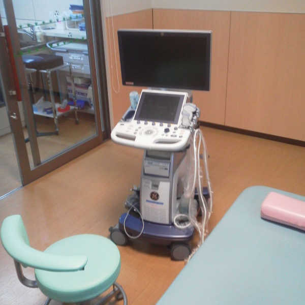 超音波検査 運動器